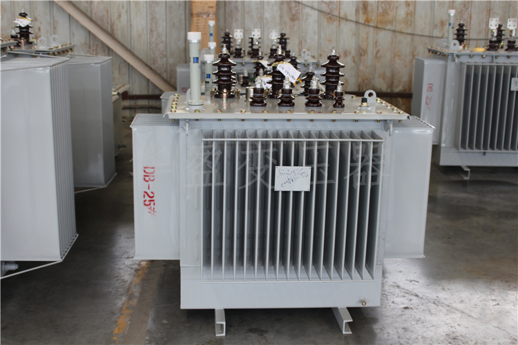 邯郸S20-800kVA/10kV/0.4kV变压器